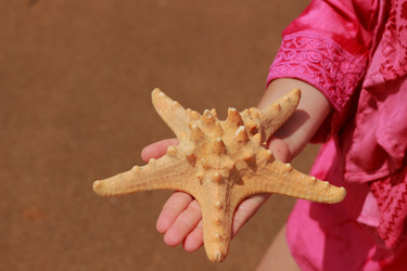 Similar image 11433703