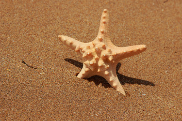 Similar image 11433842