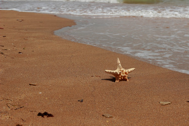 Similar image 11433862