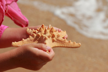 Similar image 11433305