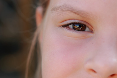 Similar image 11434615