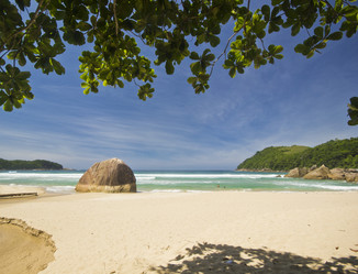 Similar image 11468212