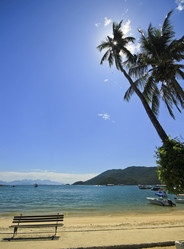 Similar image 11468252