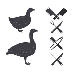 Similar image 11426059