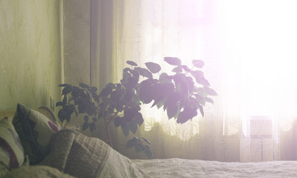 Similar image 11426573