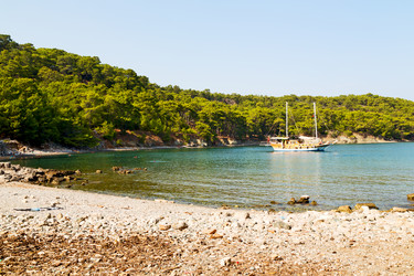 Similar image 11464650