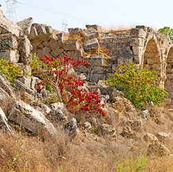 Similar image 11461002