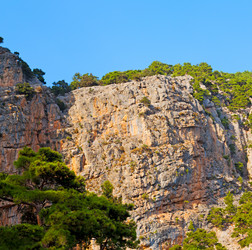 Similar image 11461007