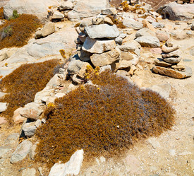 Similar image 11461078