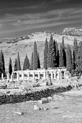 Similar image 11461114