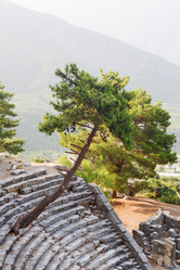 Similar image 11461117