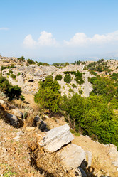 Similar image 11461121