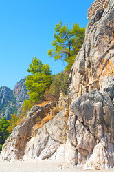 Similar image 11461122