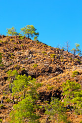 Similar image 11461123