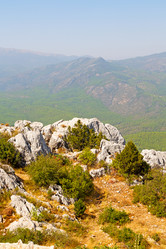 Similar image 11461125