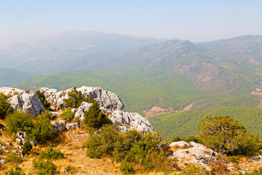 Similar image 11461128