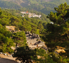 Similar image 11461130