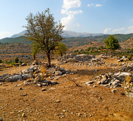 Similar image 11460144