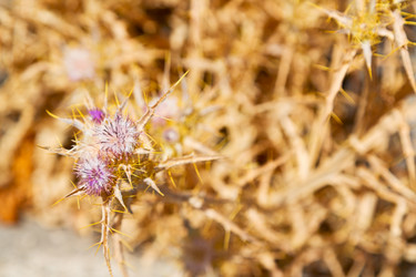 Similar image 11461069