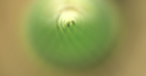 Similar image 11453237