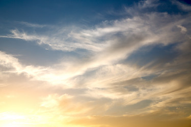 Similar image 11447403