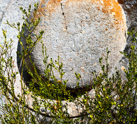 Similar image 11447414