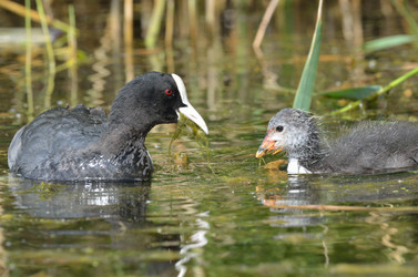 Similar image 11443211