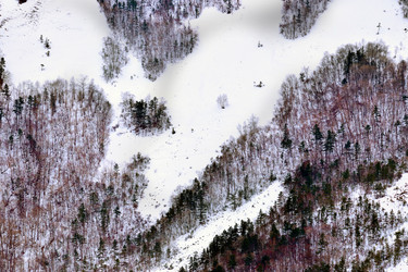 Similar image 11416042