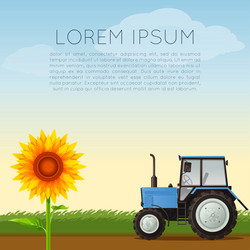 Similar image 11424439