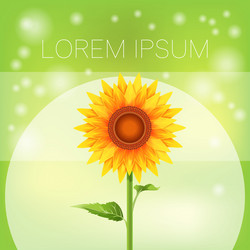 Similar image 11424445