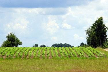 Similar image 11427061