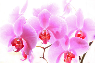 Similar image 11427065