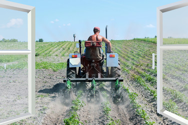 Similar image 11427070