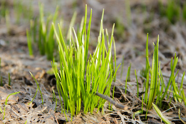 Similar image 11420091