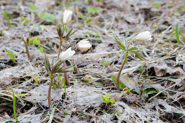 Similar image 11420093