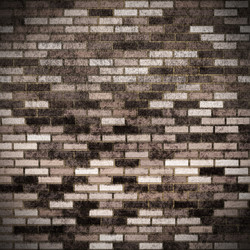 Similar image 11464766