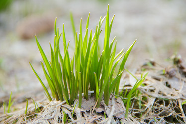 Similar image 11420094