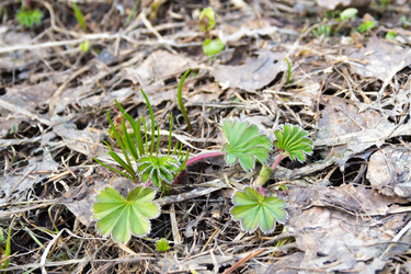 Similar image 11420096