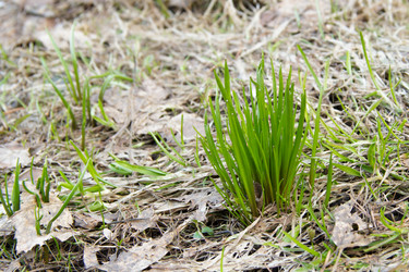 Similar image 11426366