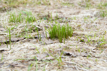 Similar image 11426367