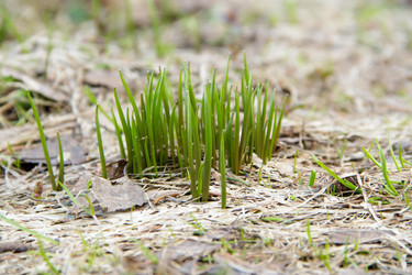 Similar image 11420097