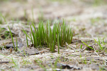 Similar image 11420098