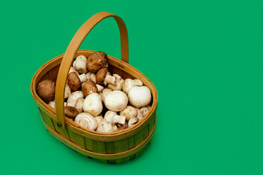 Similar image 11425032