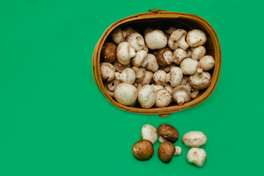 Similar image 11425016