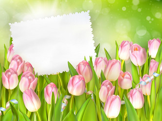 Similar image 11450423