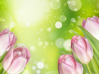 Similar image 11449540