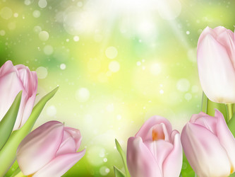 Similar image 11449565