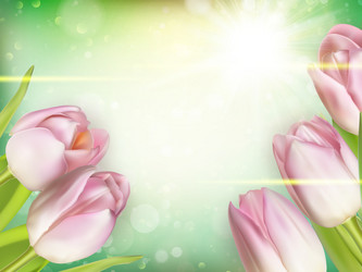 Similar image 11450036