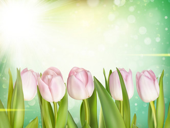 Similar image 11450037