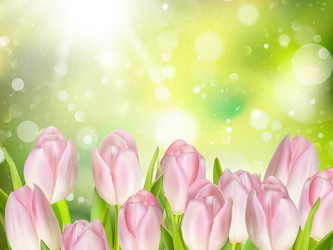 Similar image 11450038